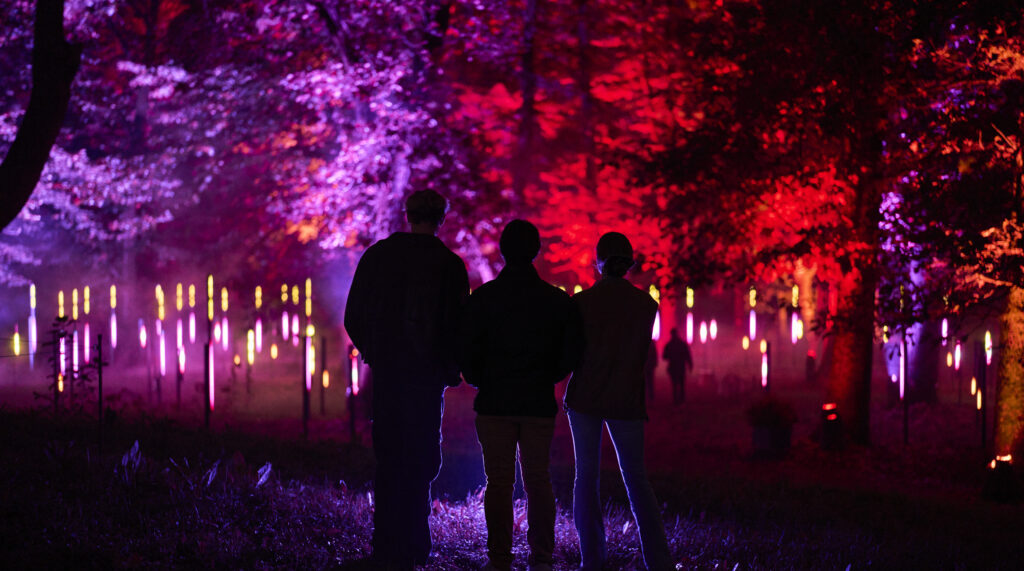 Light Cycles Milan, Moment Factory, Forest Frequencies